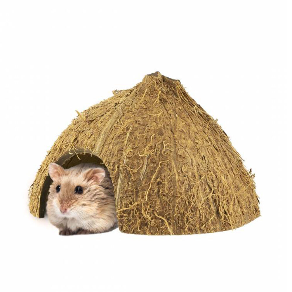 Back Zoo Nature Coco Hiding Cave