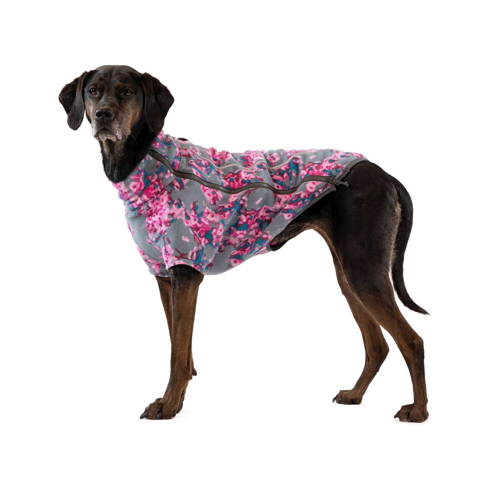 Ruffwear Climate Changer Fleece Jacket - XL - Blossom