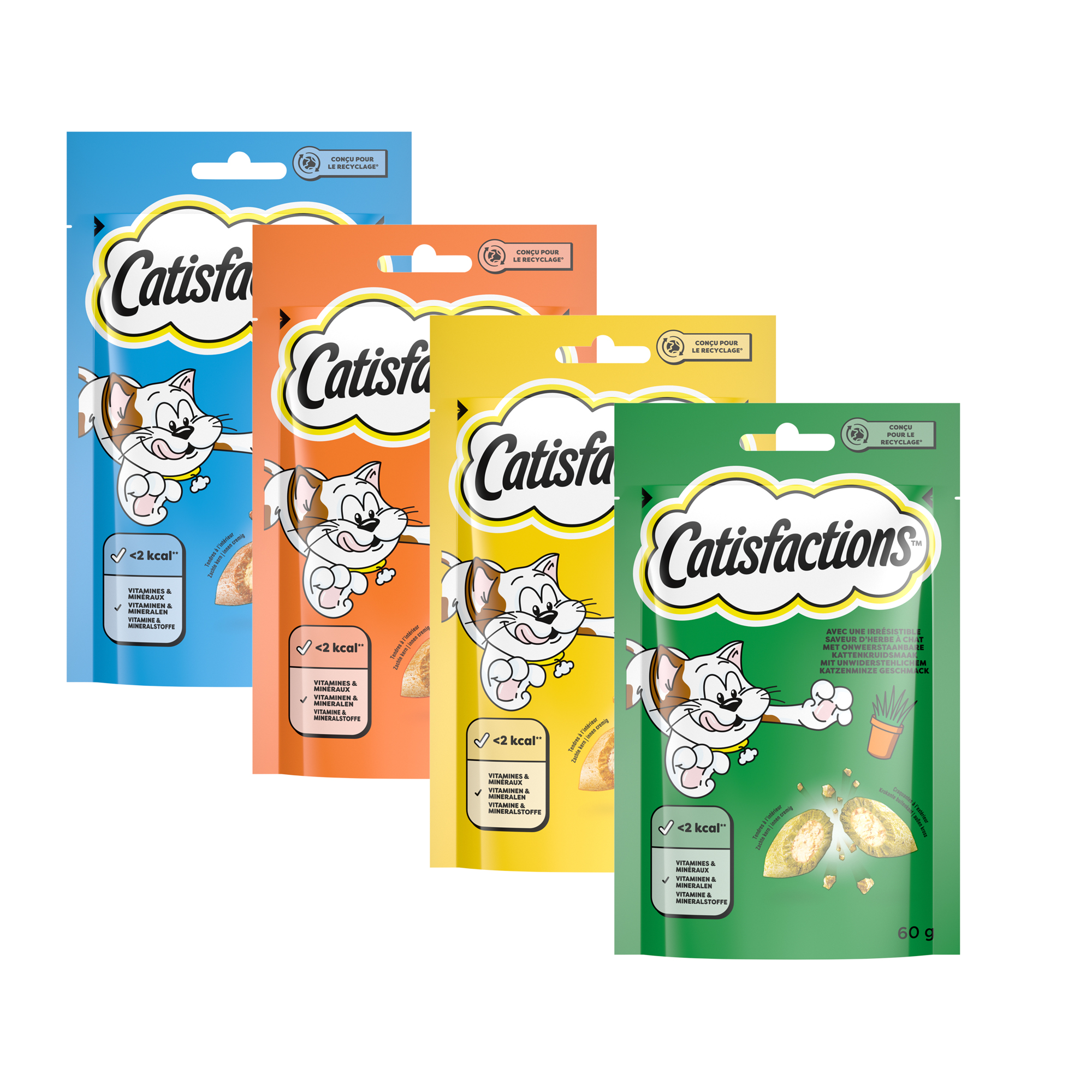 Catisfactions Cat Treats - Chicken - 60 g