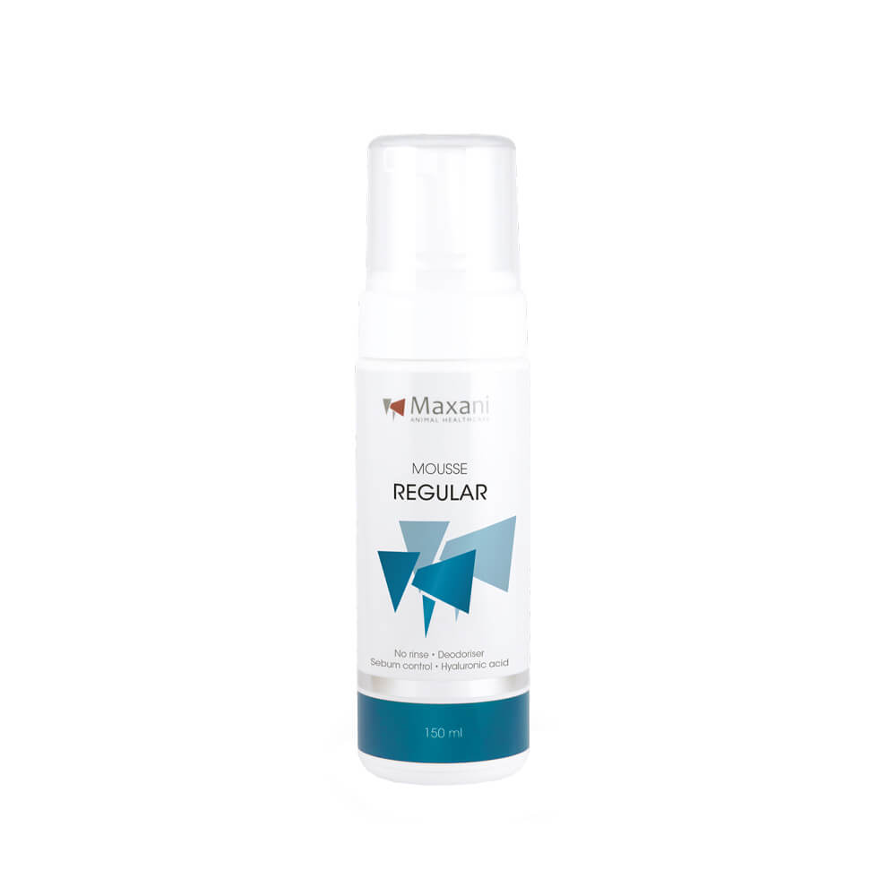 Maxani Regular Mousse - 150 ml