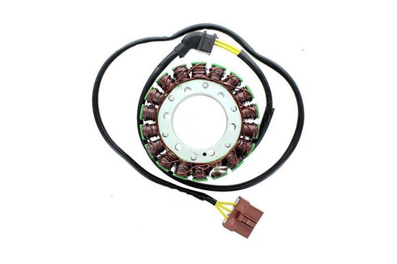 Stator d'allumage Electrosport Ref : ELS00220A / 1140076