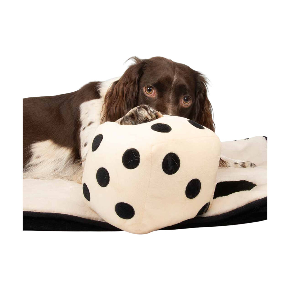 Coockoo Roll the Dice Dog Toy