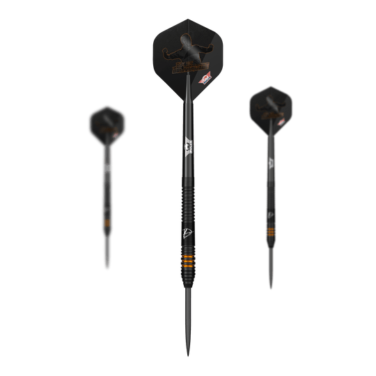 Bulls NL Dirk Van Duijvenbode Edition 2 steel darts