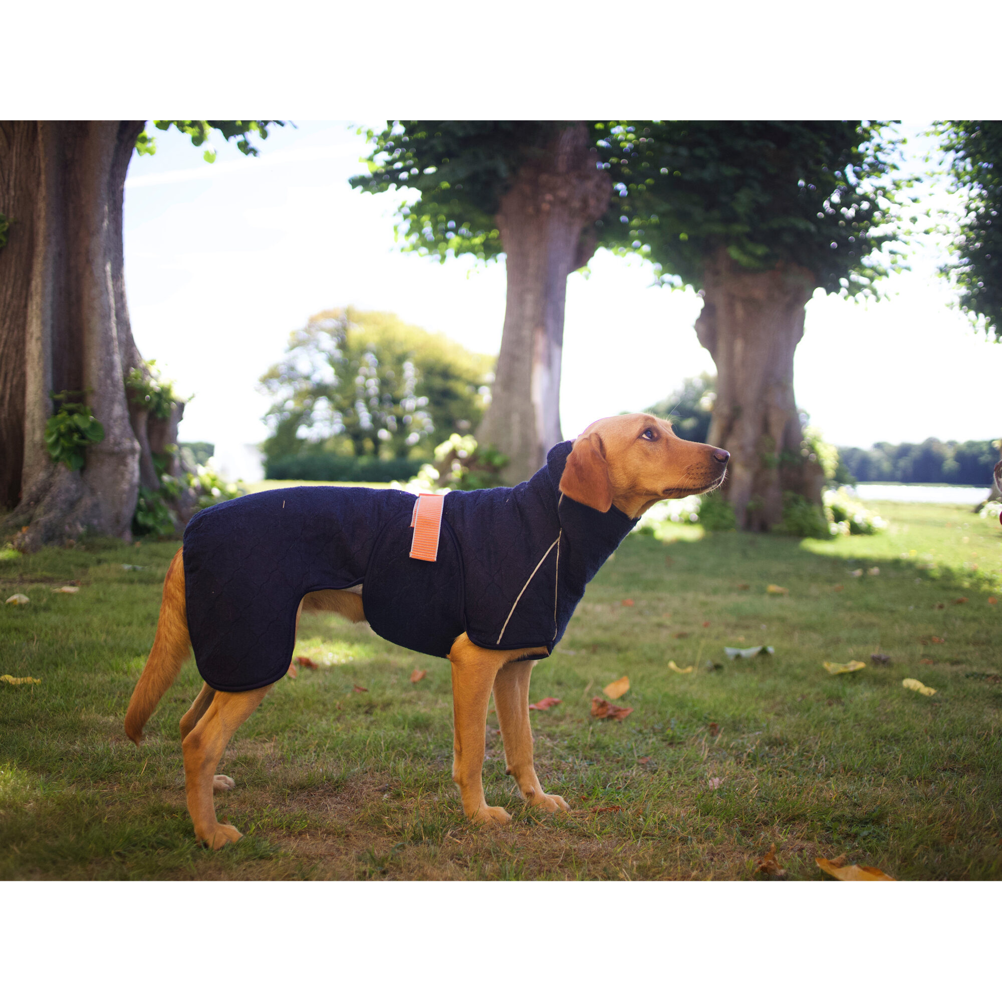 Siccaro WetDog SupremePro 2.0 - Blue Granite - 50