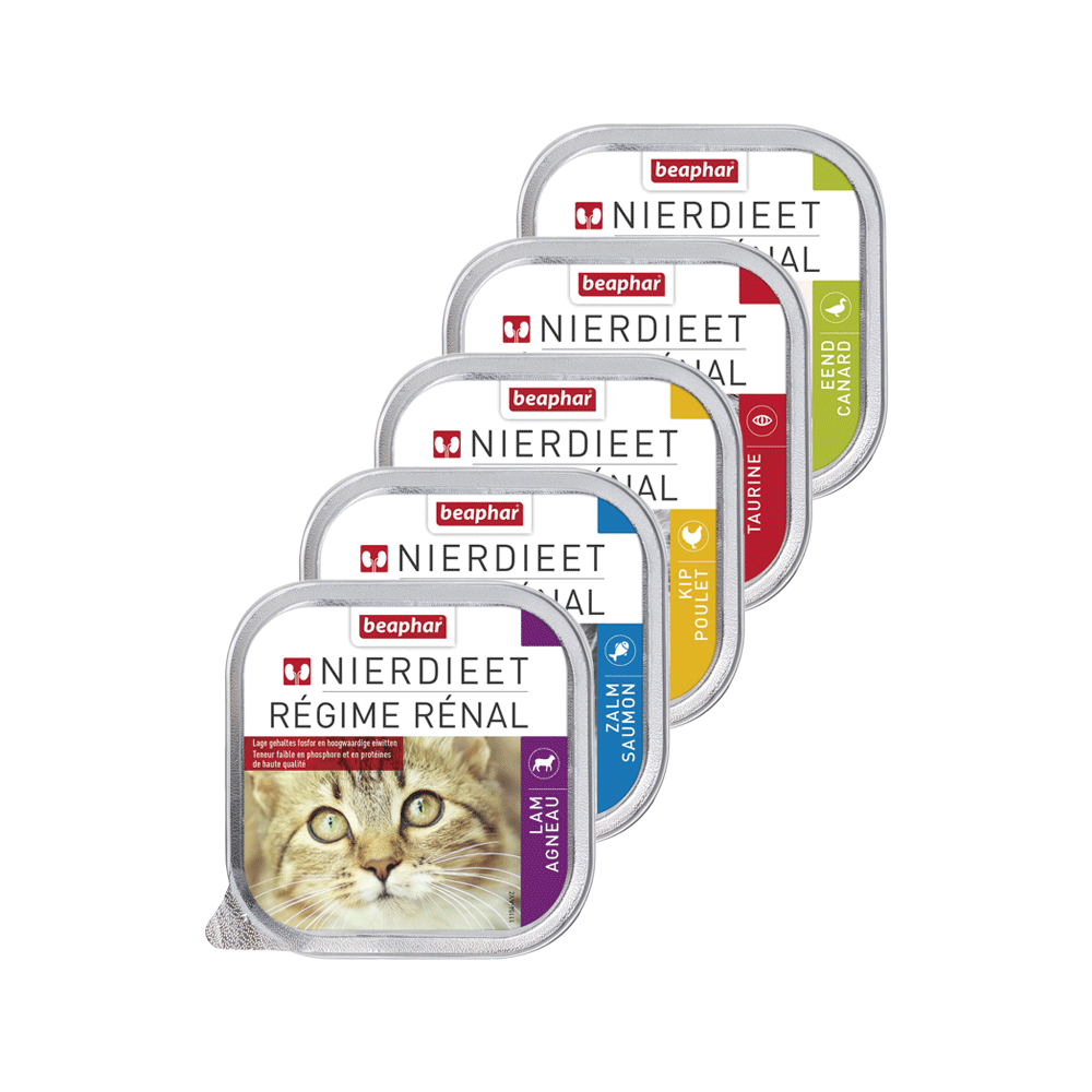 Beaphar Kidney Diet Cat Food - Multipack - 6 x 100 g