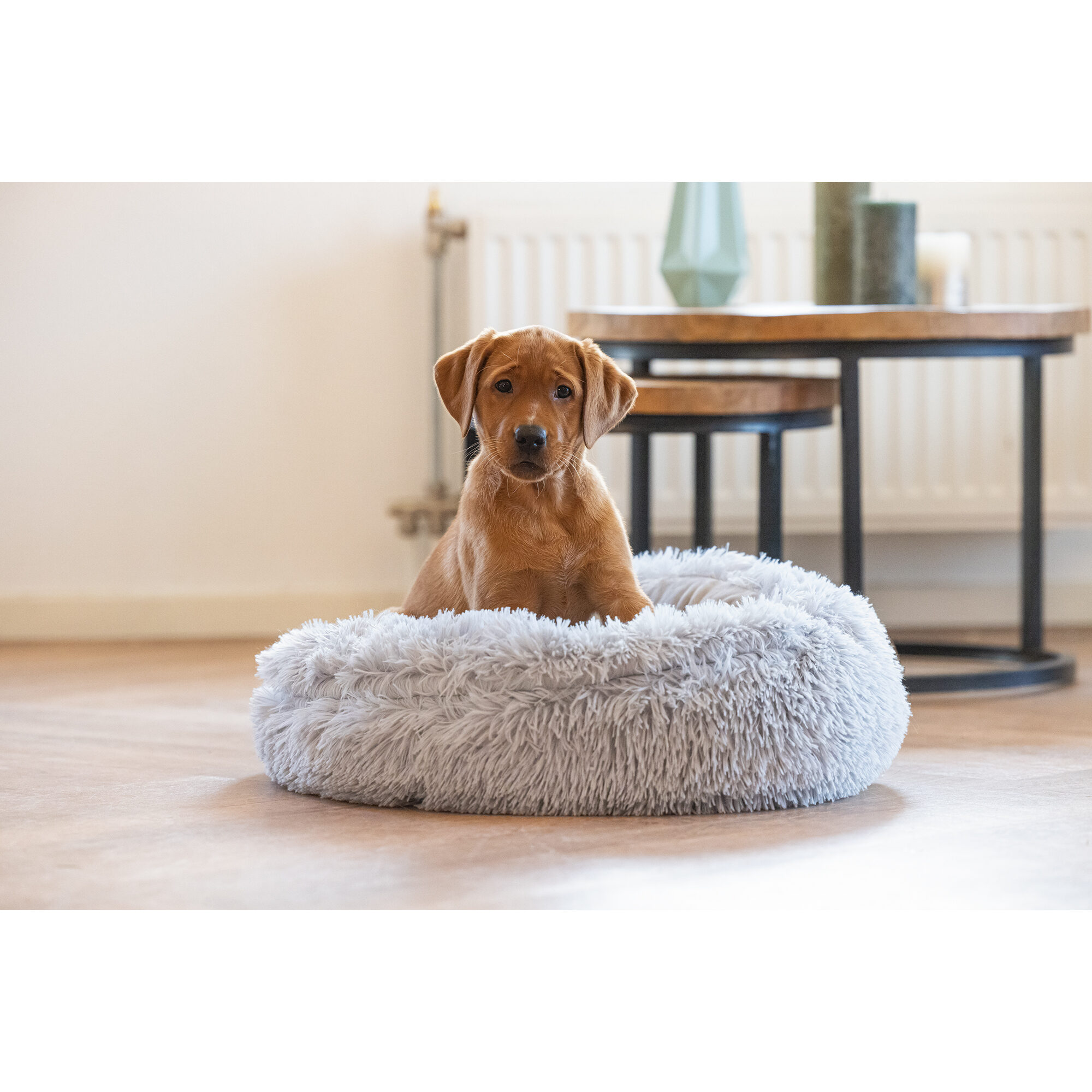 Beeztees Puppy Lounger Kiki - Cream