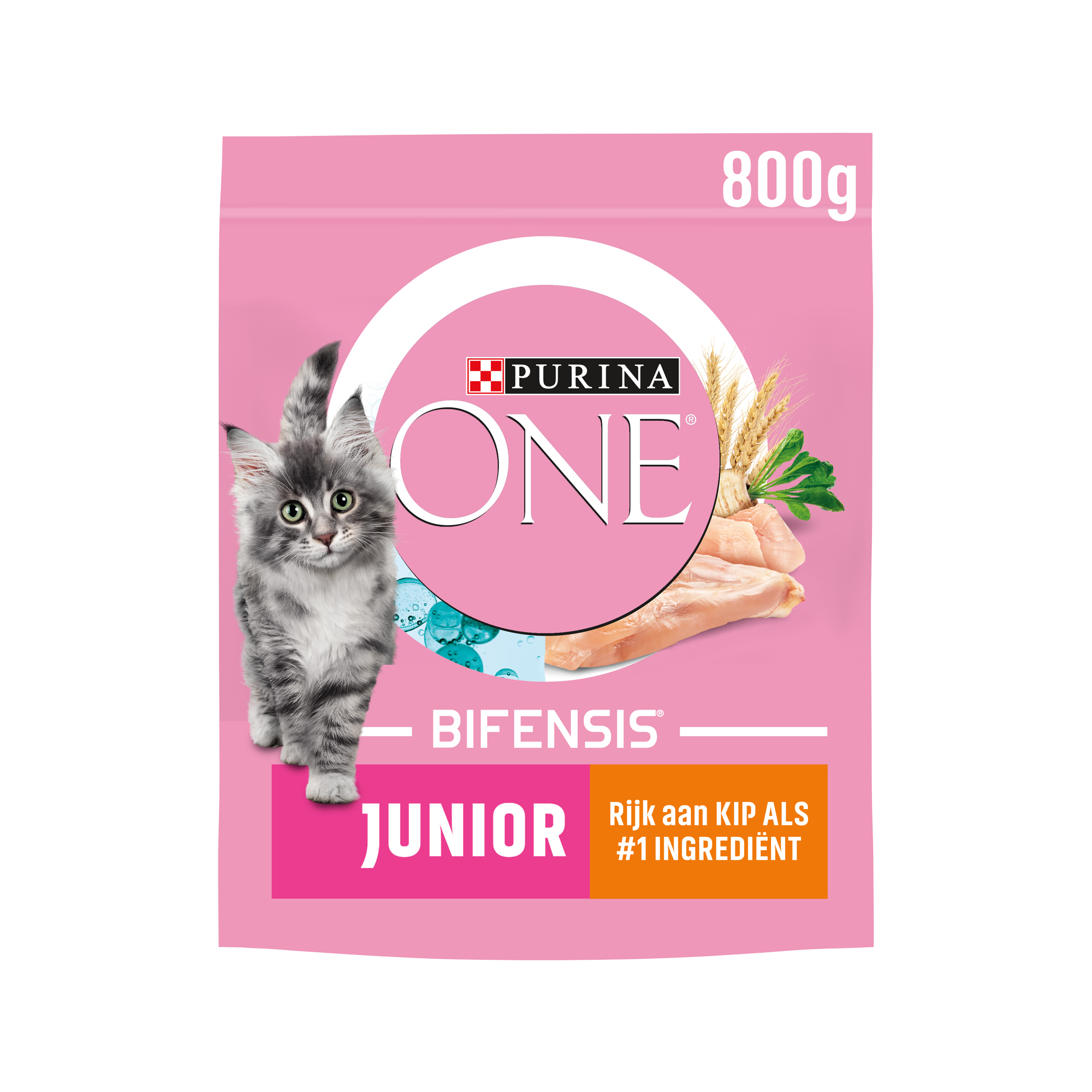 Purina ONE Junior - Chicken - 1,5 kg