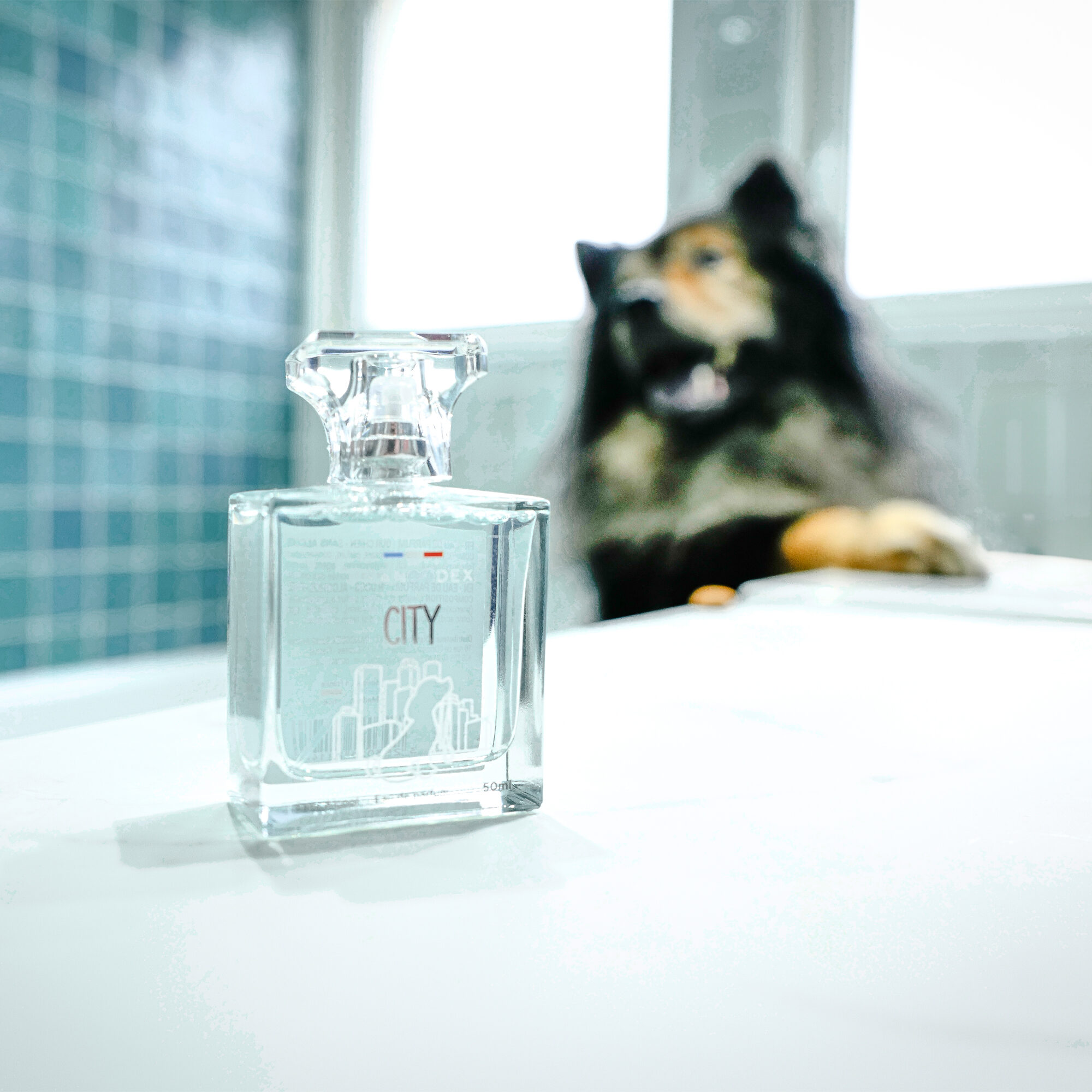 Francodex City Perfume - 50 ml