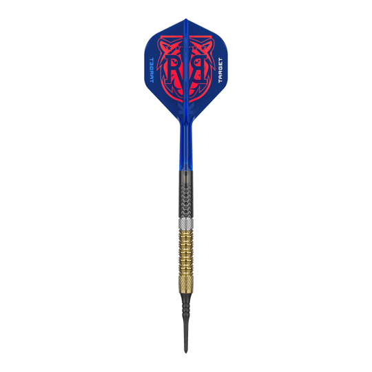 Target Raymond Van Barneveld GEN6 soft darts