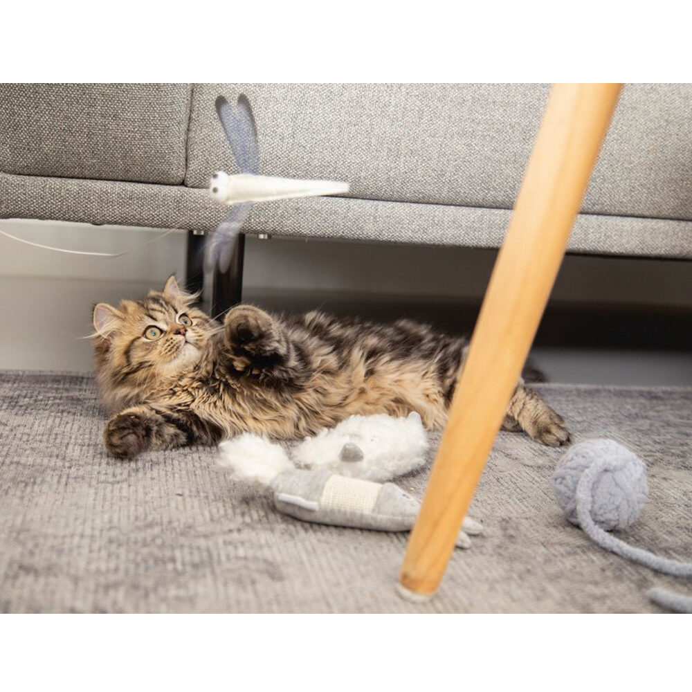 Beeztees Kitten Play Rod Dragonfly