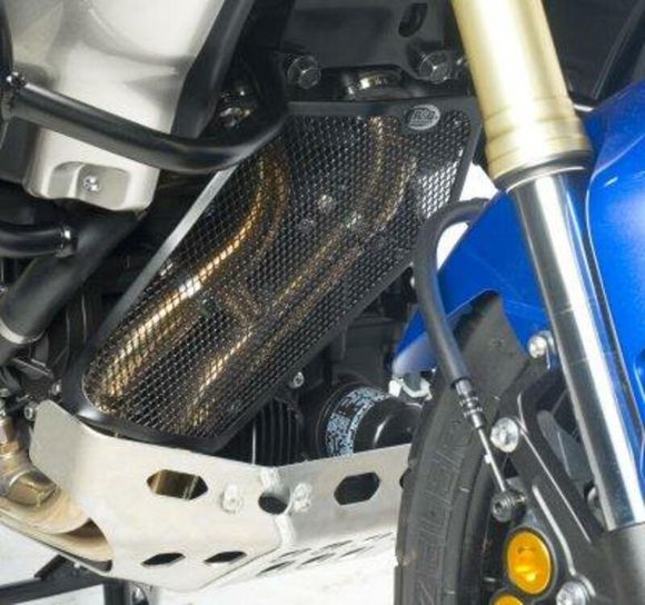 R & G Radiator Protection Aluminum Collector GrilleRef: Rgr01890A / 1070465