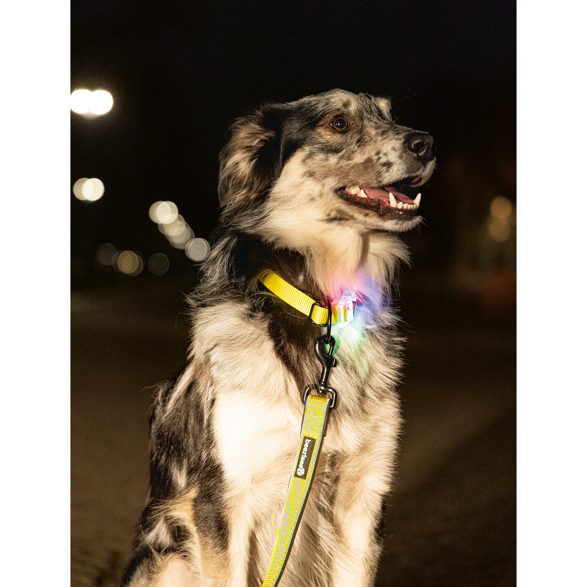 Beeztees Safety Gear Parinca Collar - 30-35 x 2 cm