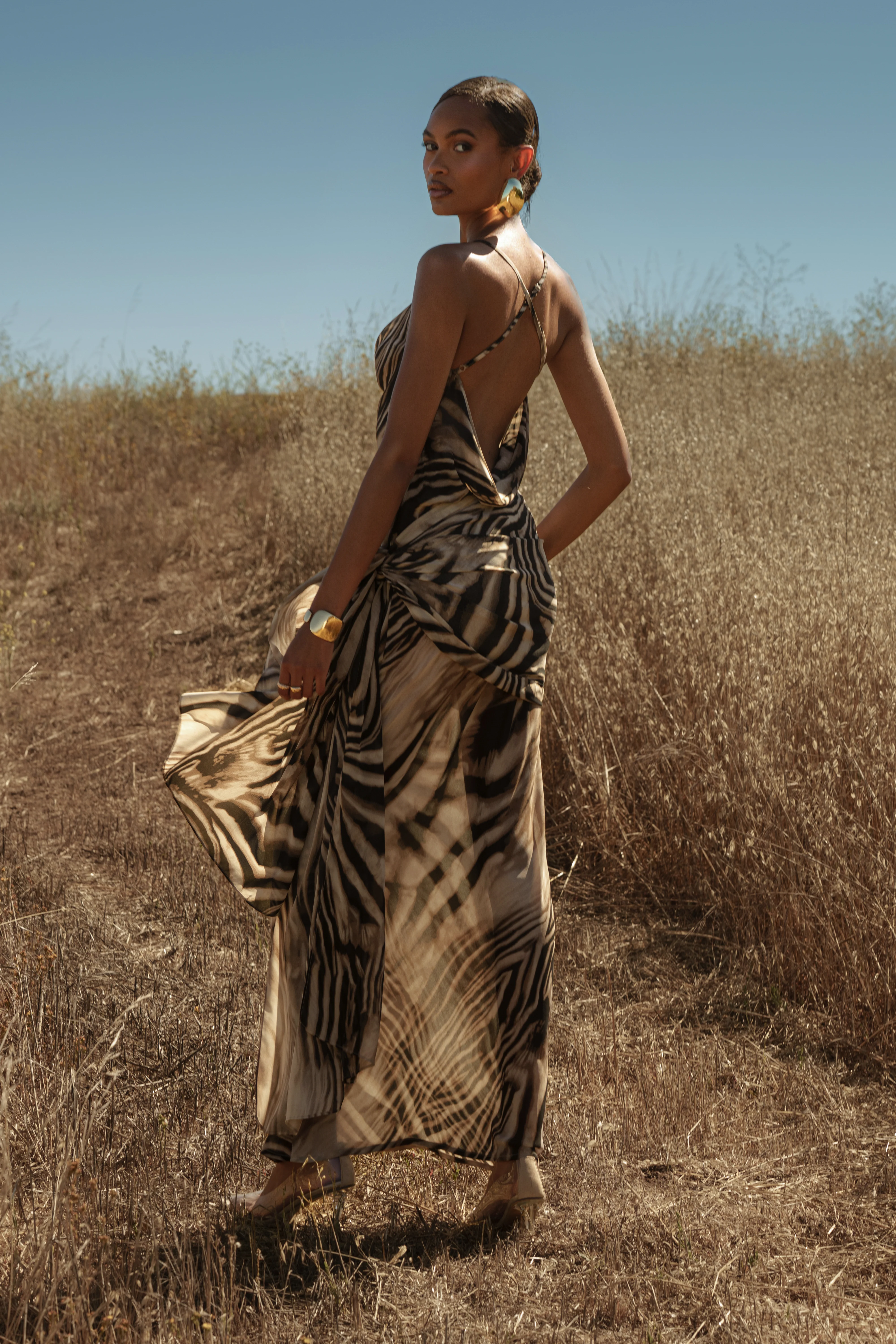 Brown Zebra Print Infinite Journey Maxi Dress