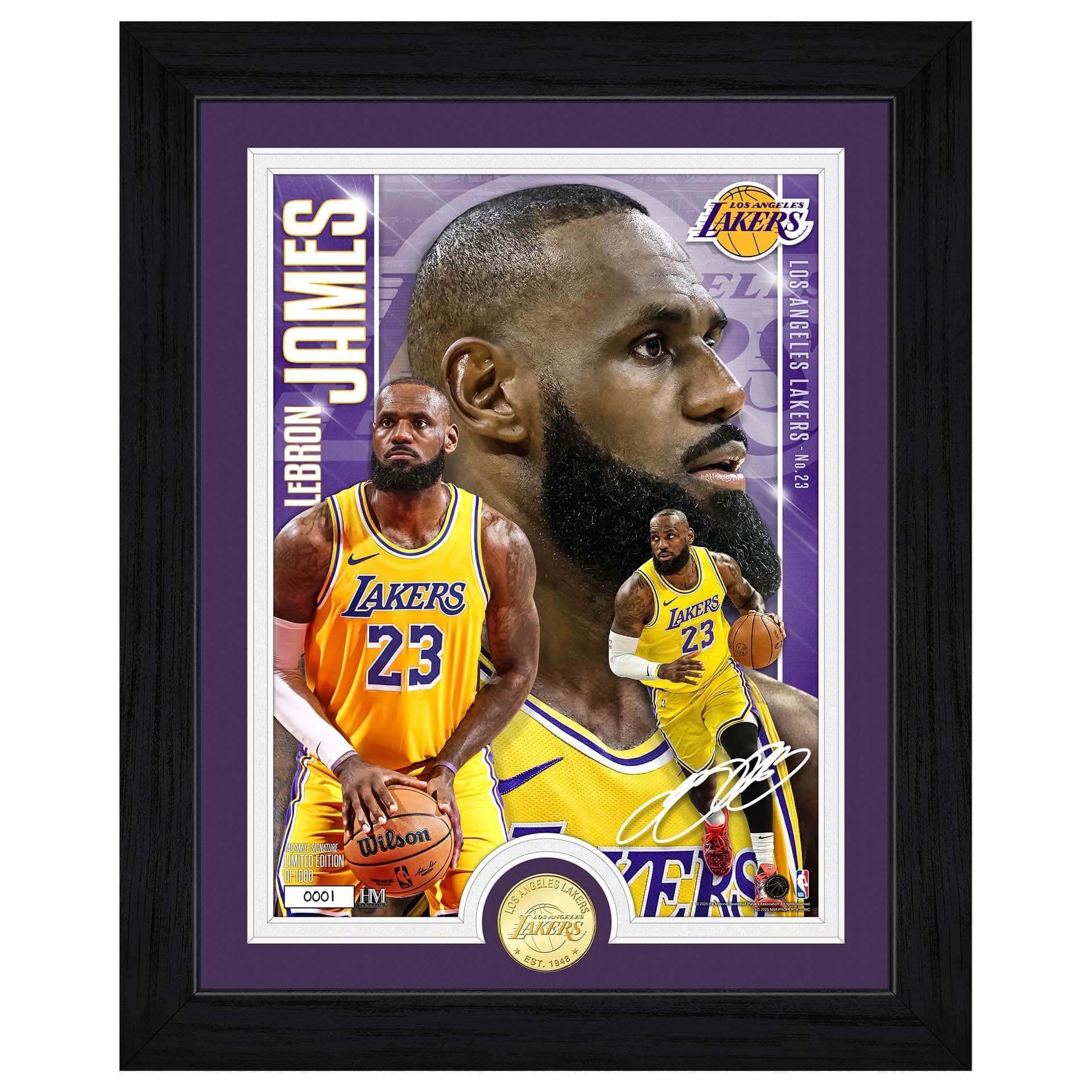 LeBron James Los Angeles Lakers Artist Proof Bronze Coin NBA Photo Frame