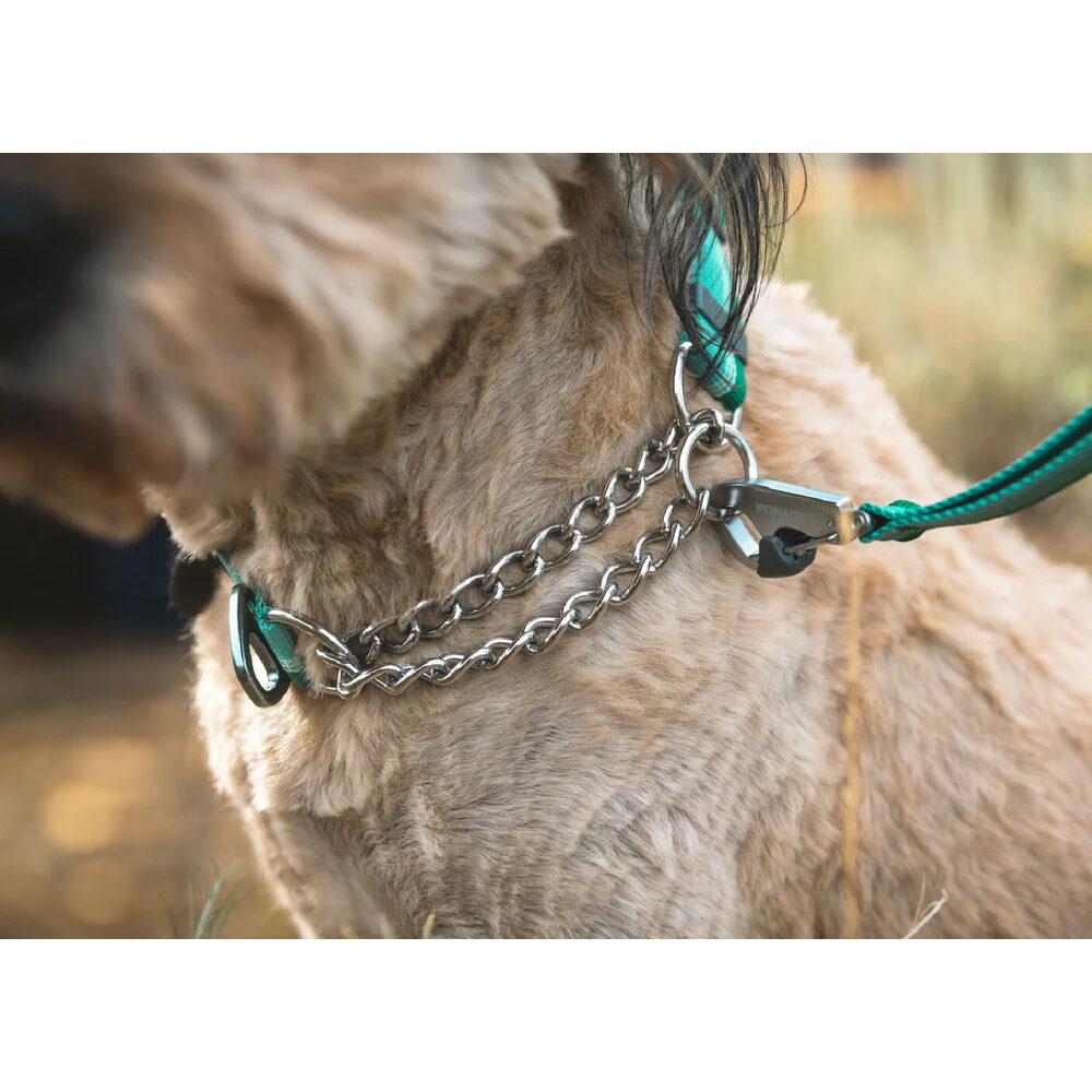 Ruffwear Chain Reaction Collar - Basalt Gray - 28/36 cm