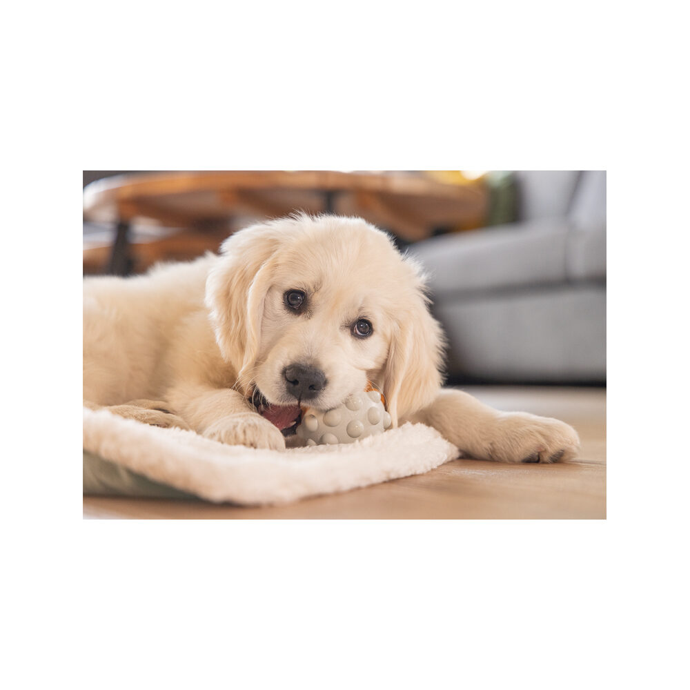 Beeztees Puppy Play Ball Denise - 7,5 cm