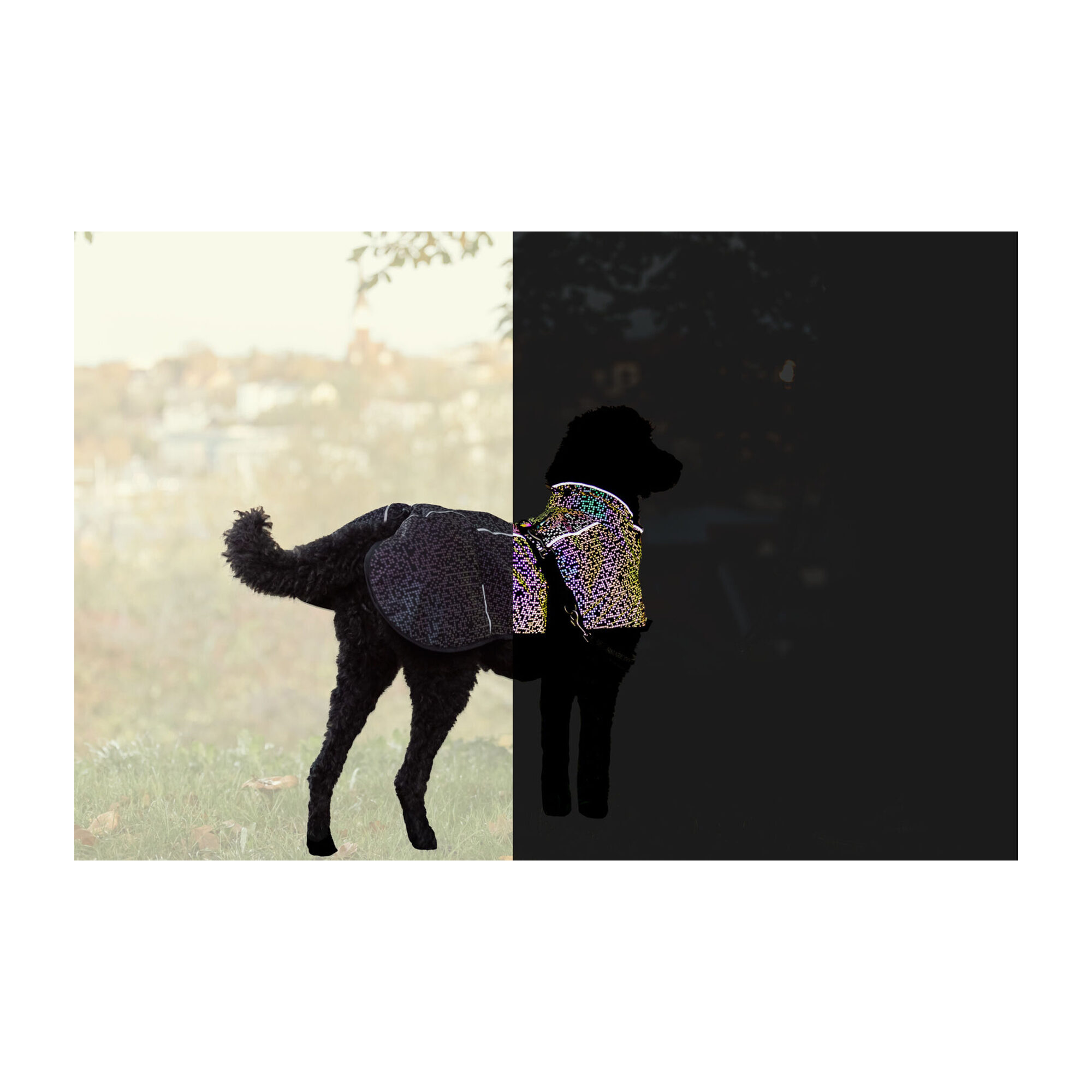 Trixie Limoux Reflect Jacket - XS - 30 cm