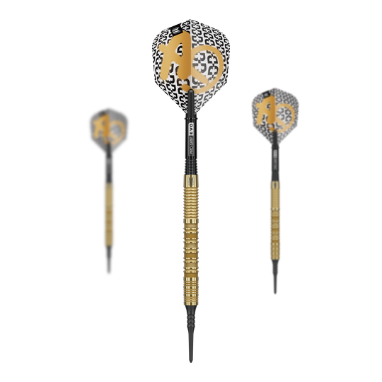 Target Bolide Envy 10 soft darts