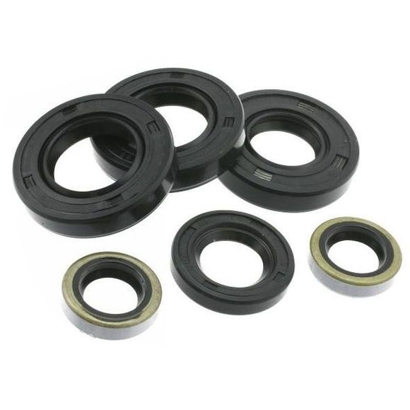 Centauro Spy lower engine gasket setRef: 631258 / 1003278