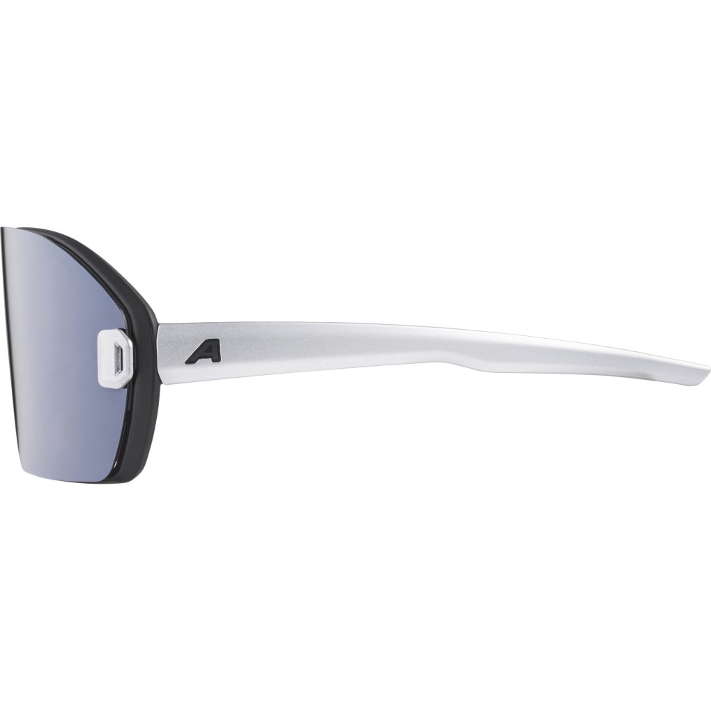 Alpina Bonfire Mag Q Glasses - black-alu matt/Quattroflex pink + black