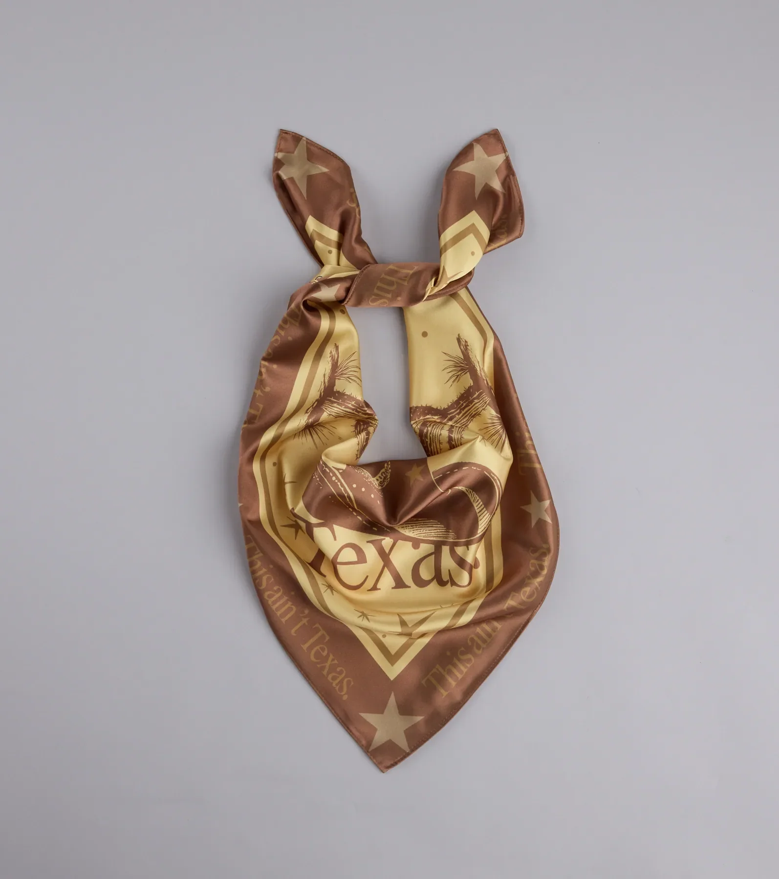 This Ain't Texas Satin Scarf