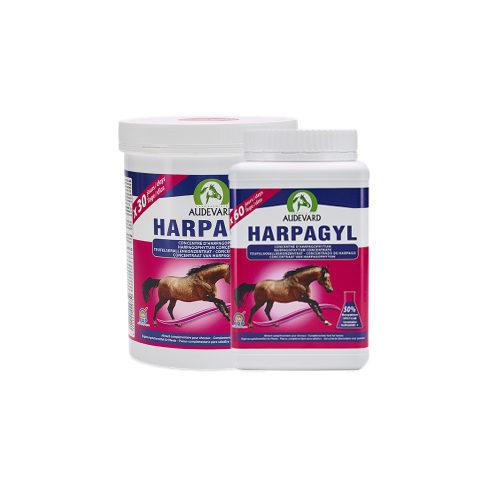 Audevard Harpagyl - 900g