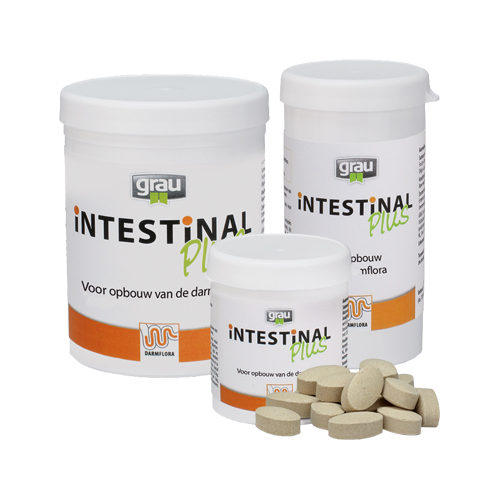 GRAU Intestinal Plus - 60 tablets