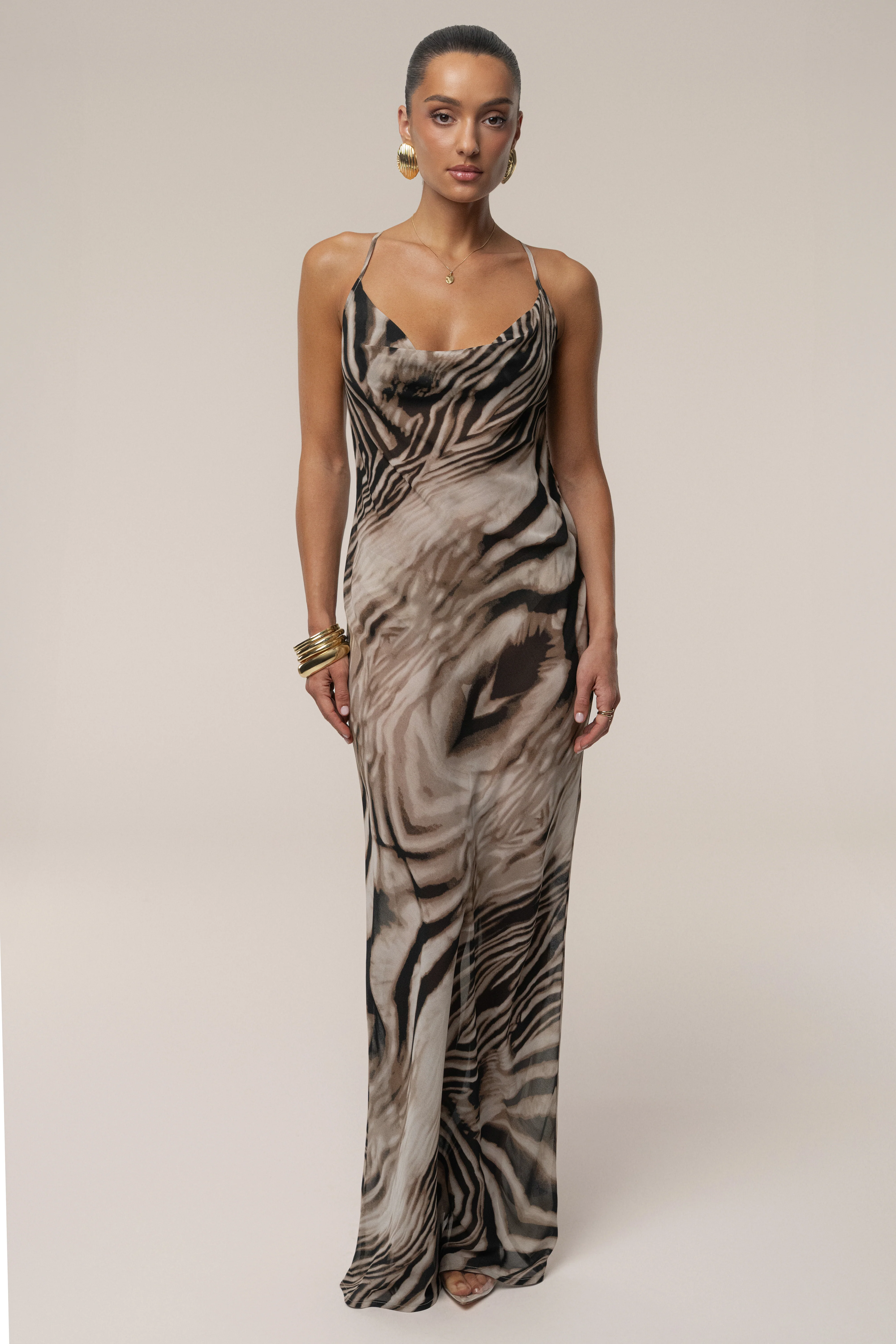Brown Zebra Print Infinite Journey Maxi Dress