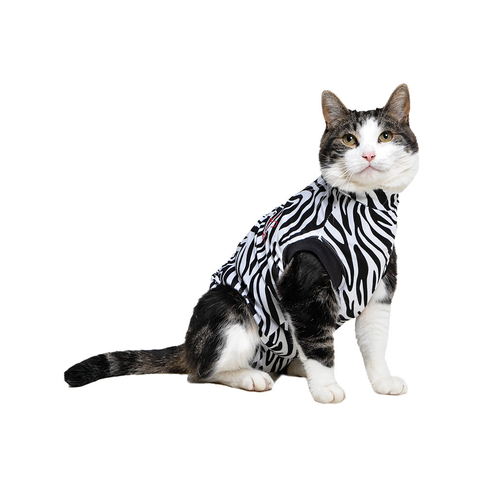 Medical Pet Shirt Cat Zebra Print - XXXS