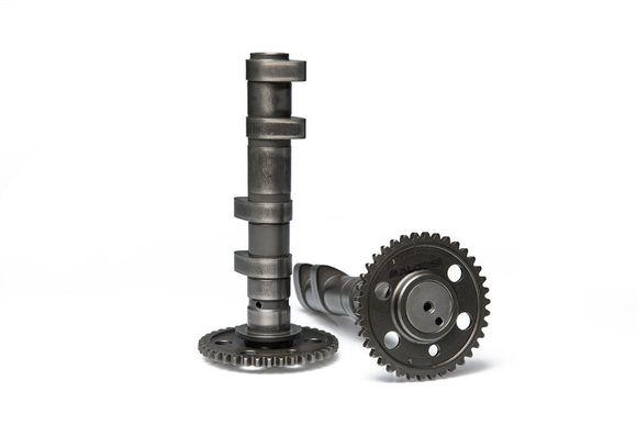 Arbre à cames Malossi Power CamRef : MAL00620A / 1147788