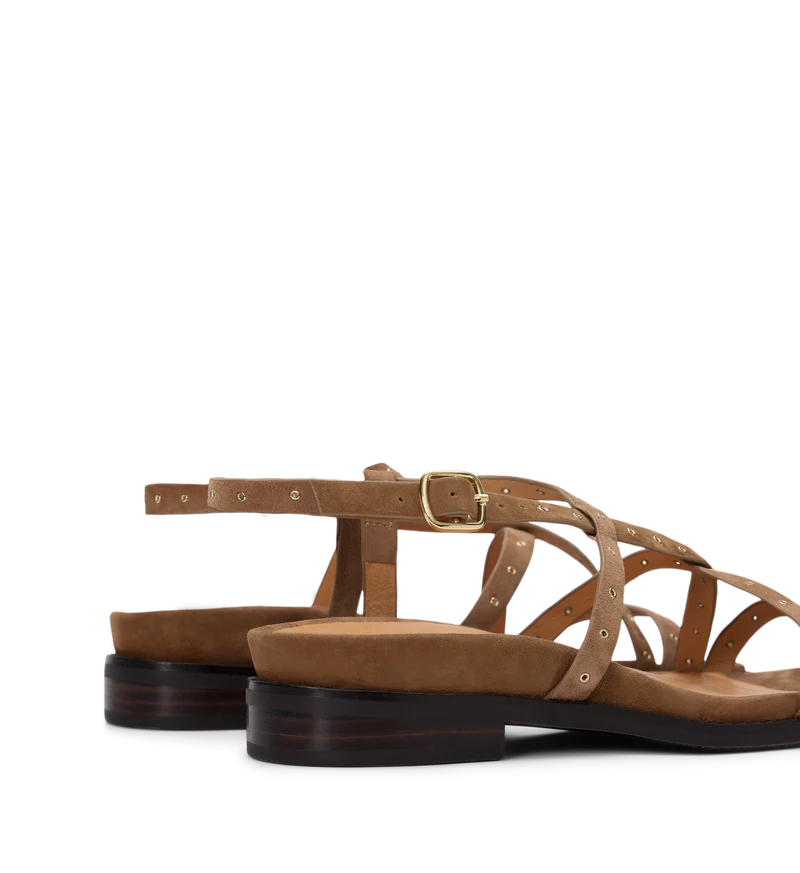 Wrentit Coffee Tan Suede & Hardware Sandals | Bared Footwear