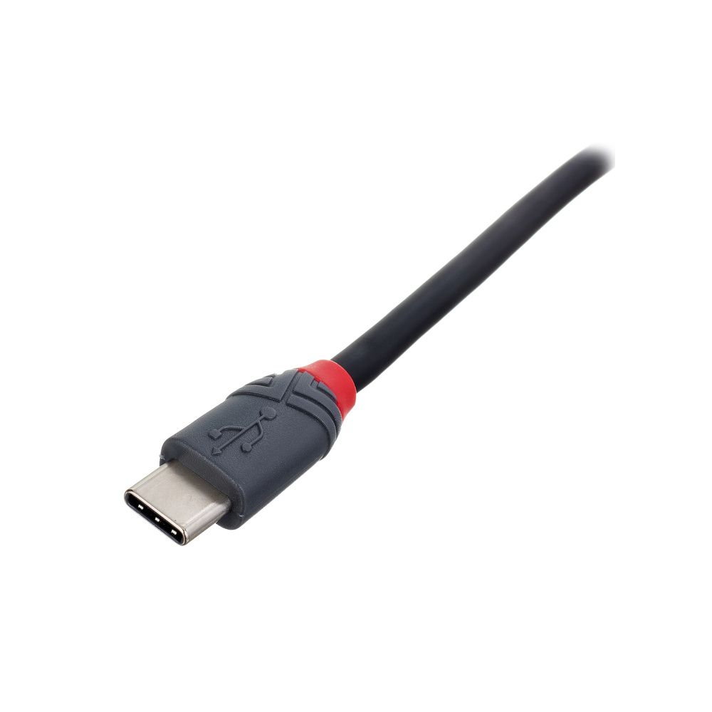 Lindy 3m USB 2.0 Typ C/B Anthra – Thomann Ireland