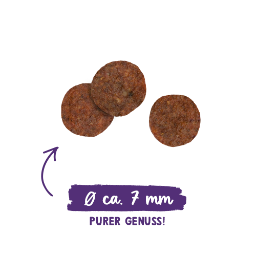 Sanabelle Adult - Ostrich - 2 kg