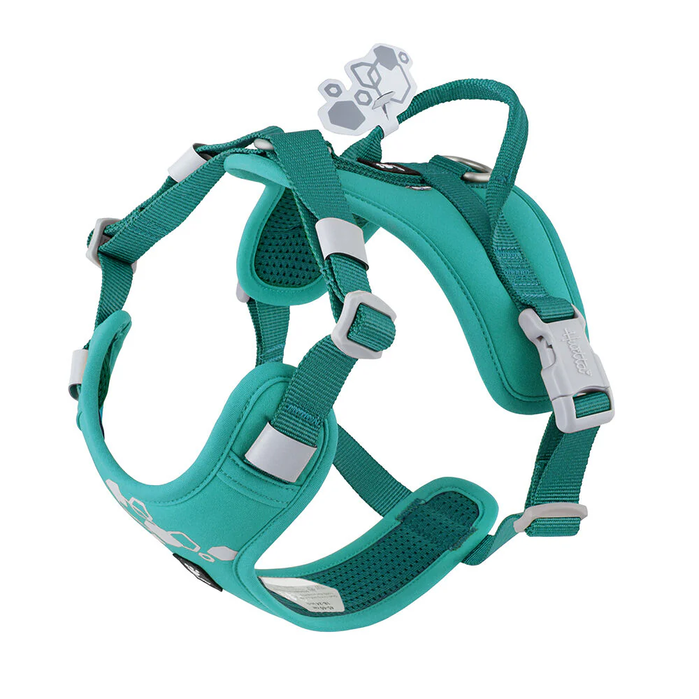 Weekend Warrior Harness II ECO