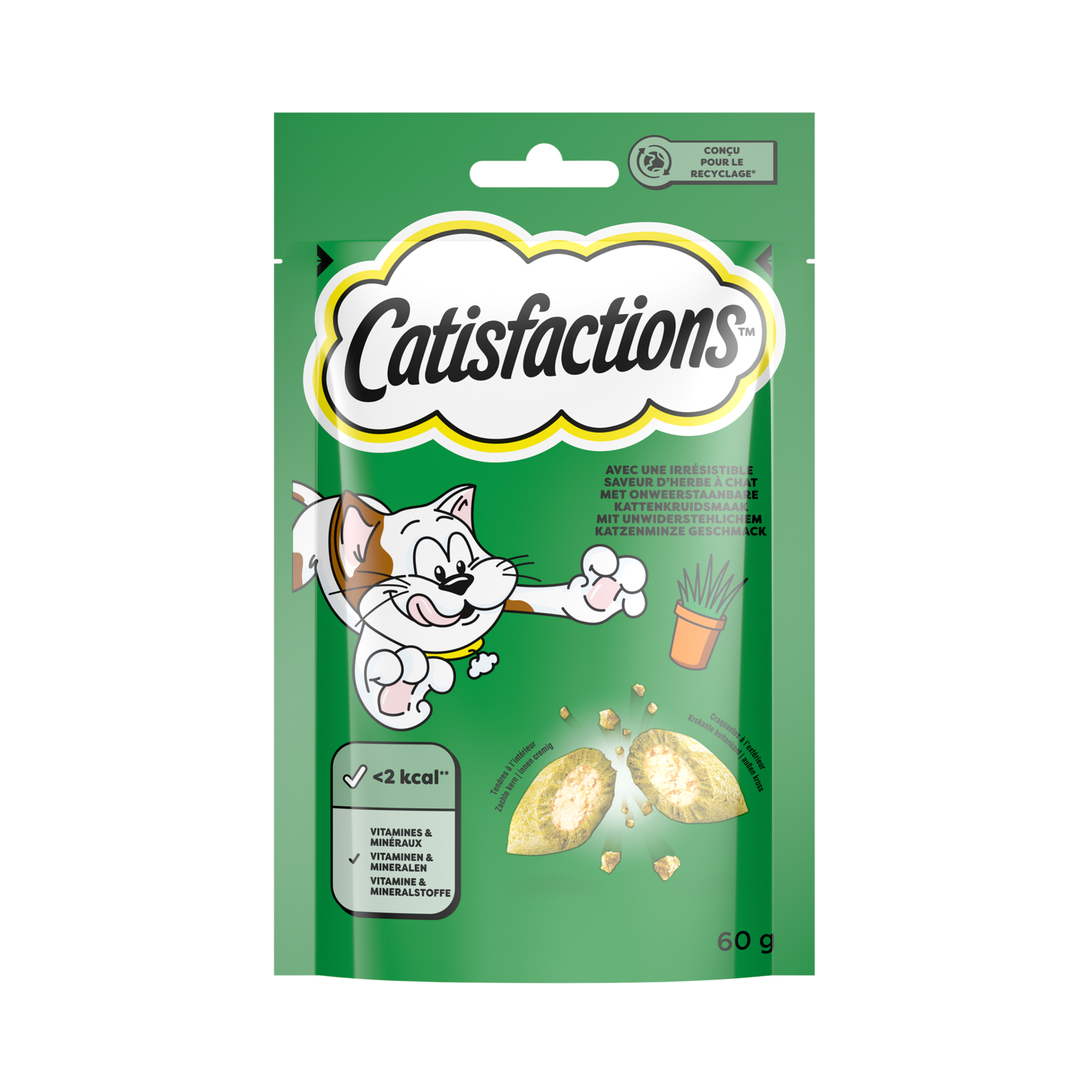 Catisfactions Cat Treats - Chicken - 60 g