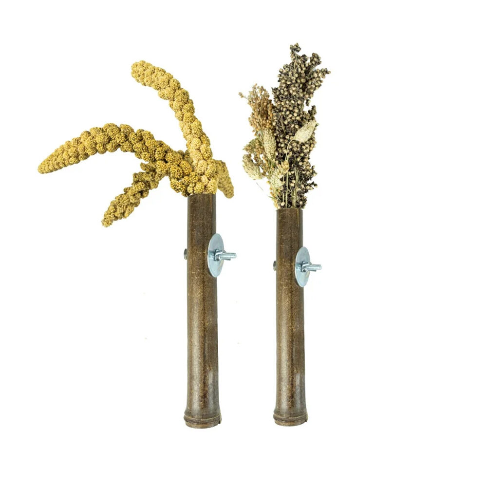 Back Zoo Nature Grass Keeper