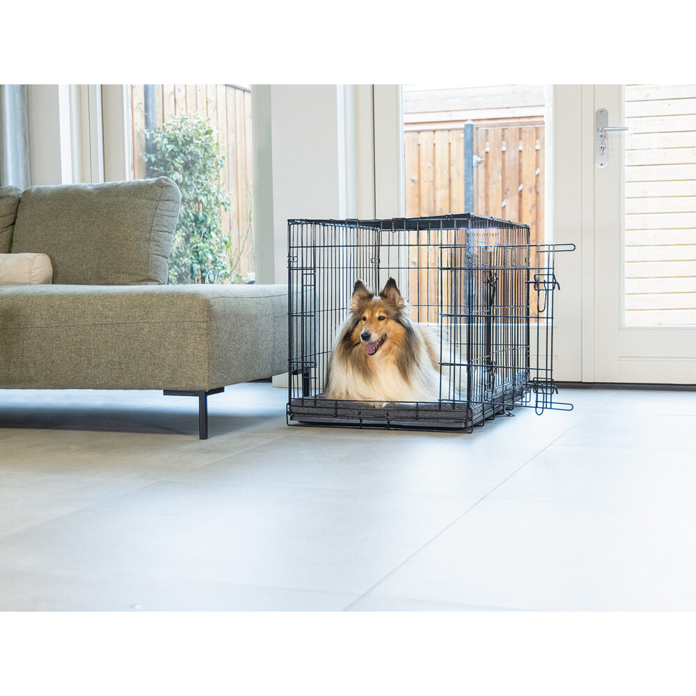 Beeztees Dog Crate - S