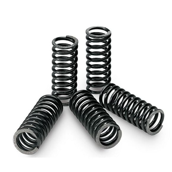 Tecnium STANDARD clutch springsRef: 110091 / 1008183