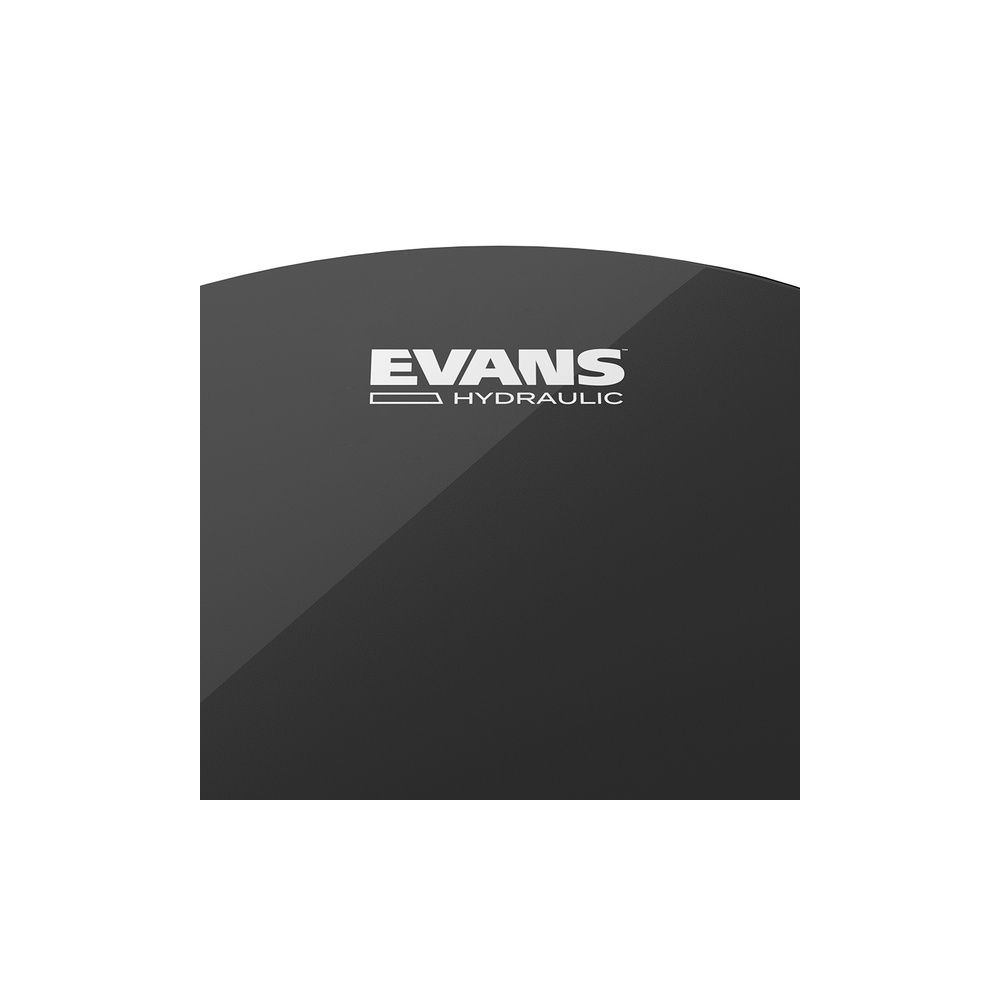 Evans 22