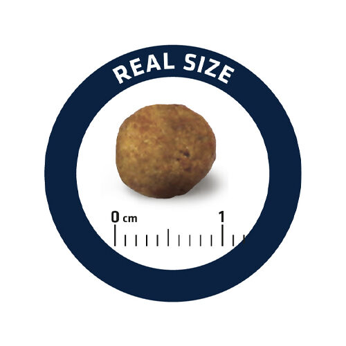 Affinity Advance Veterinary Diets Gastroenteric Dog - 12 kg