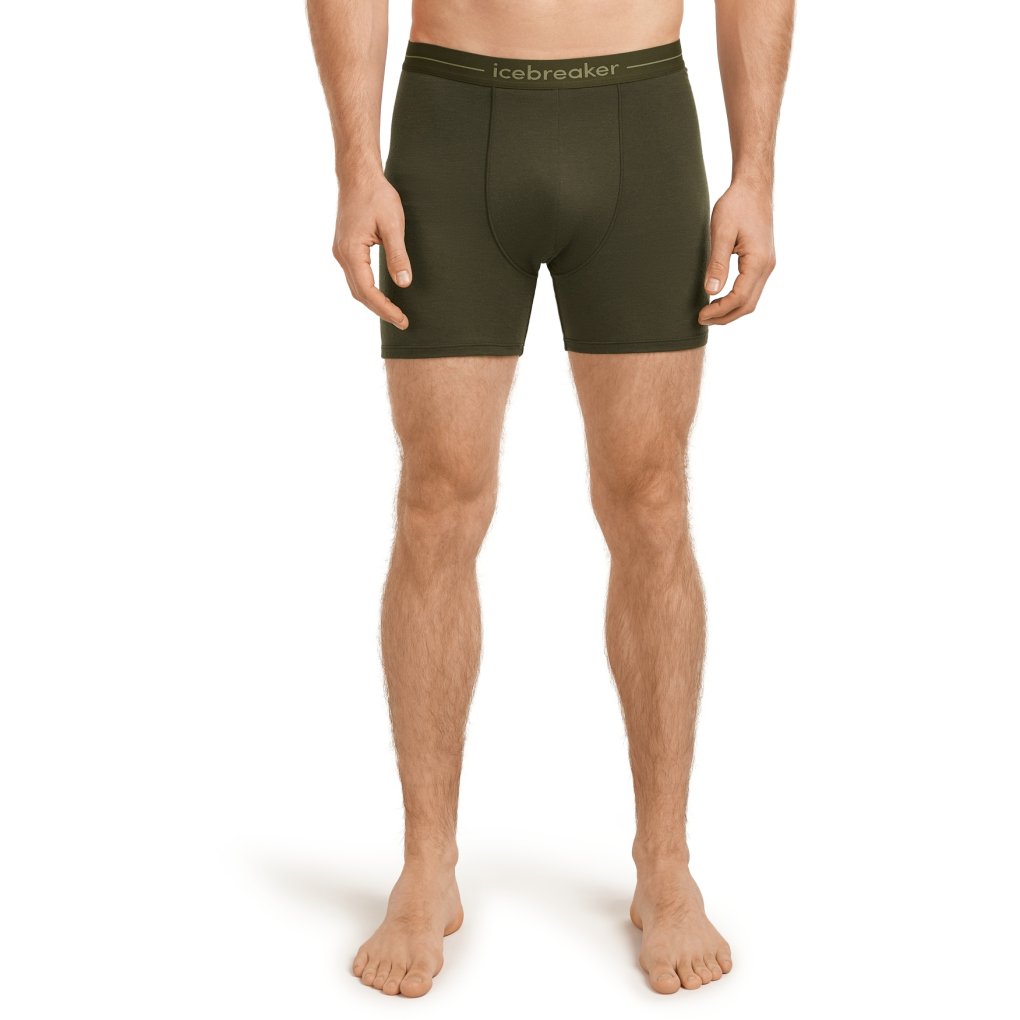 Icebreaker Merino Anatomica Boxers Men - Dark Loden