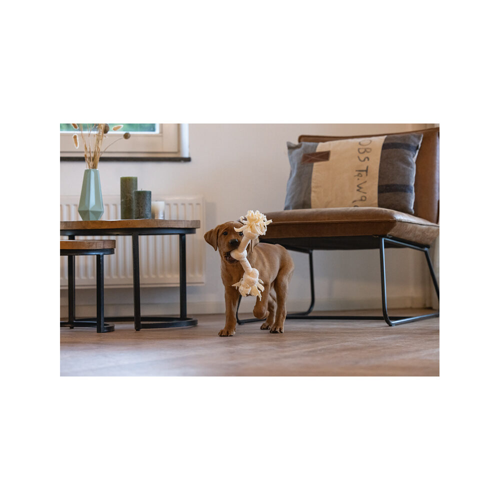 Beeztees Puppy Rope Toy Pim - 2 knots - blue