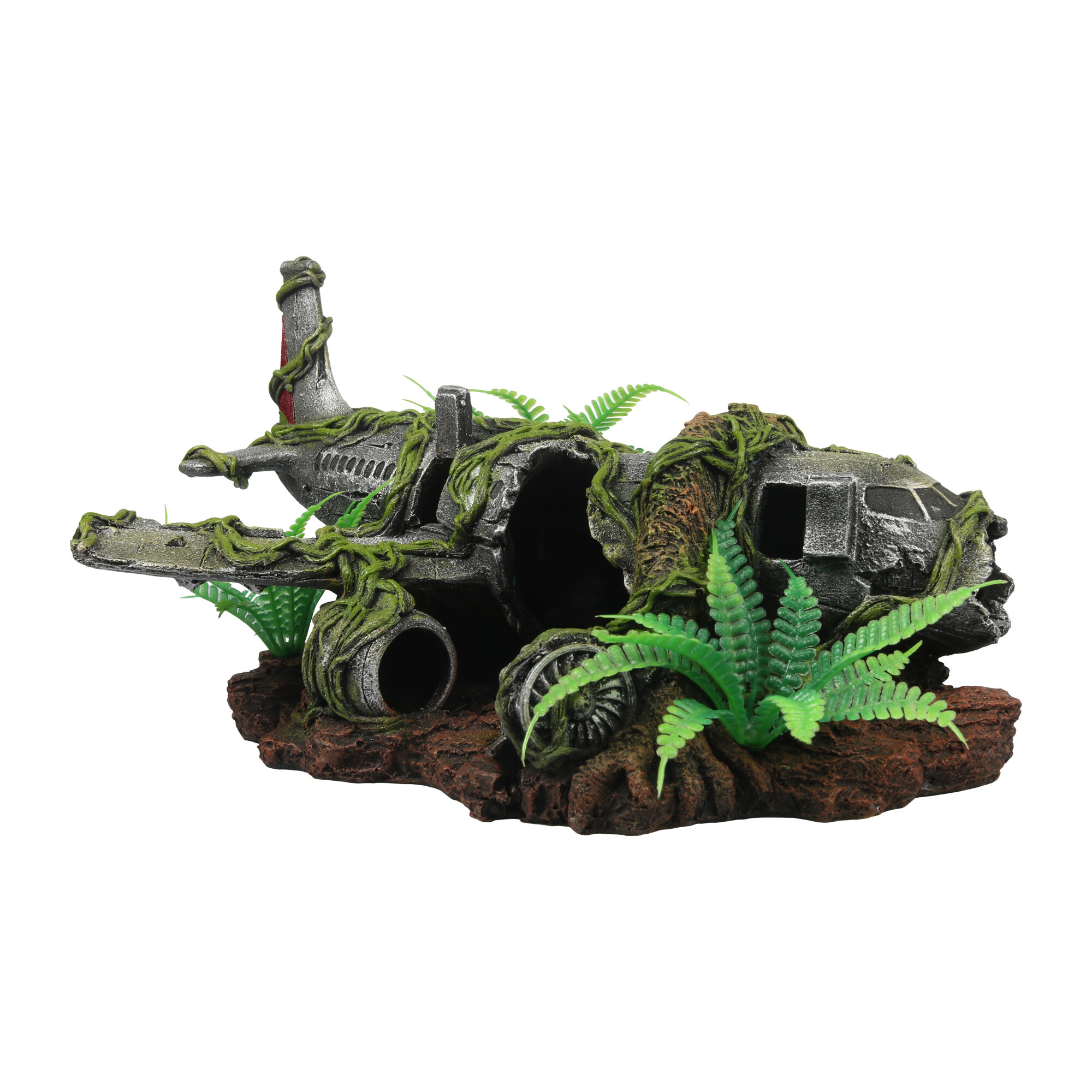 Terra Della Jungle Airplane Wreck