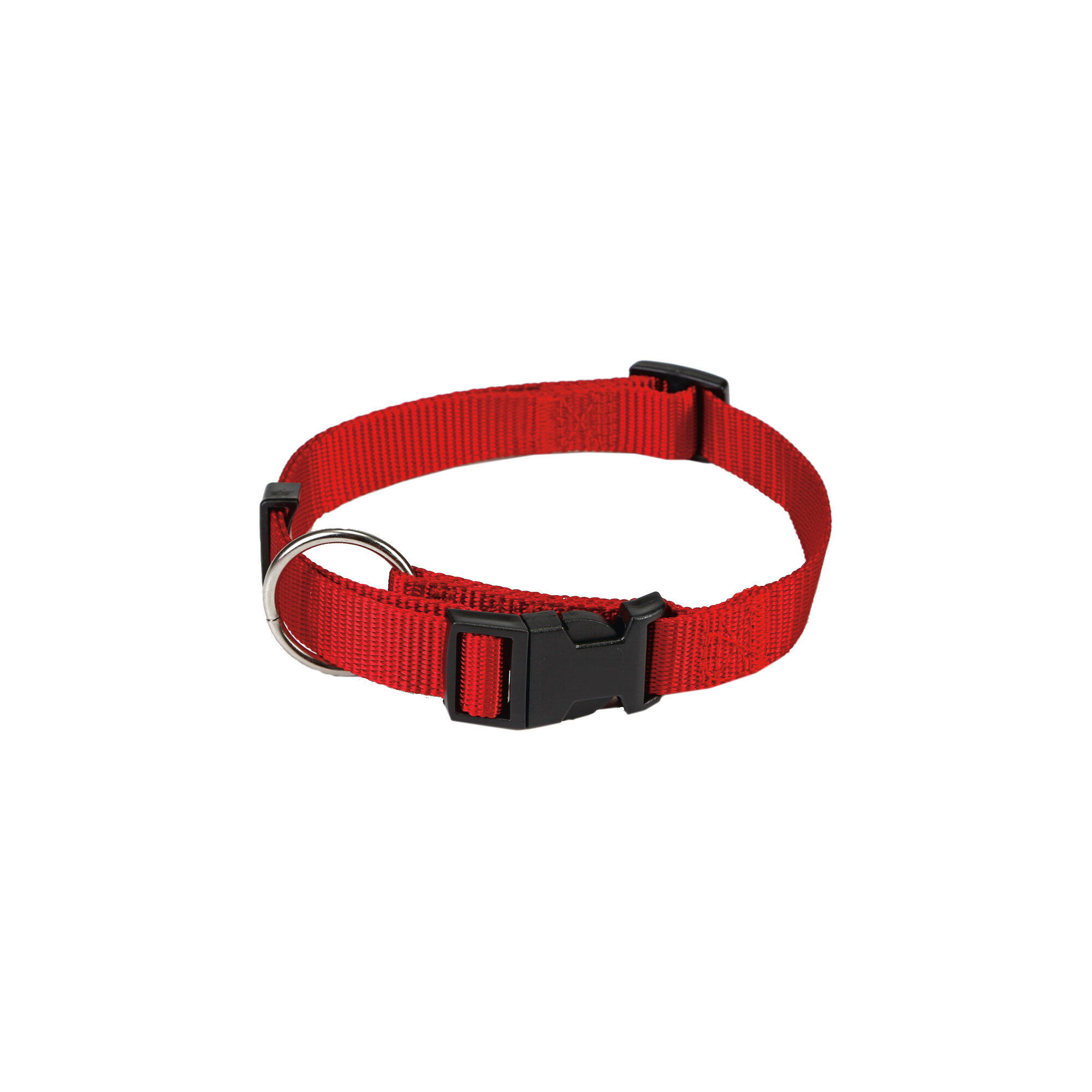 Beeztees Collar Dog - Black - Nylon - 22-35 cm x 10 mm