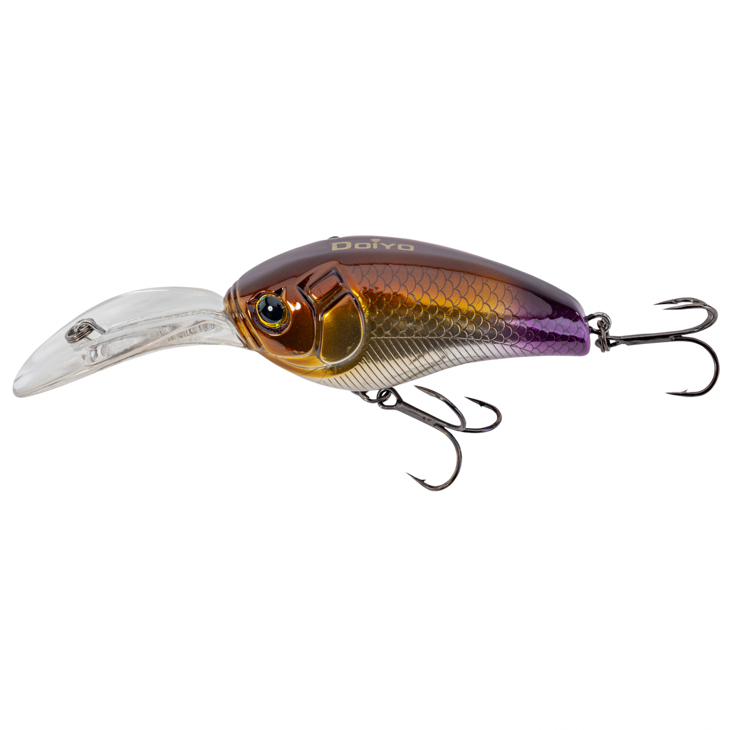 Doiyo Wild Buccaner (Purple Tail)