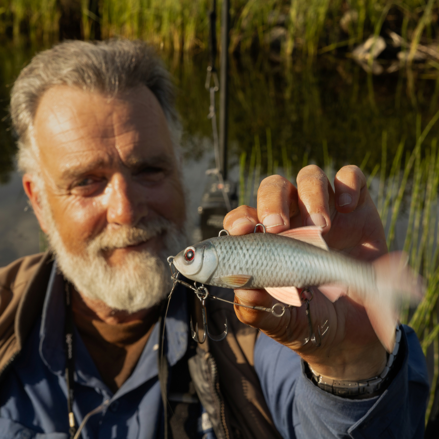 Pulz Bait Roach Skinz (Natural Roach)