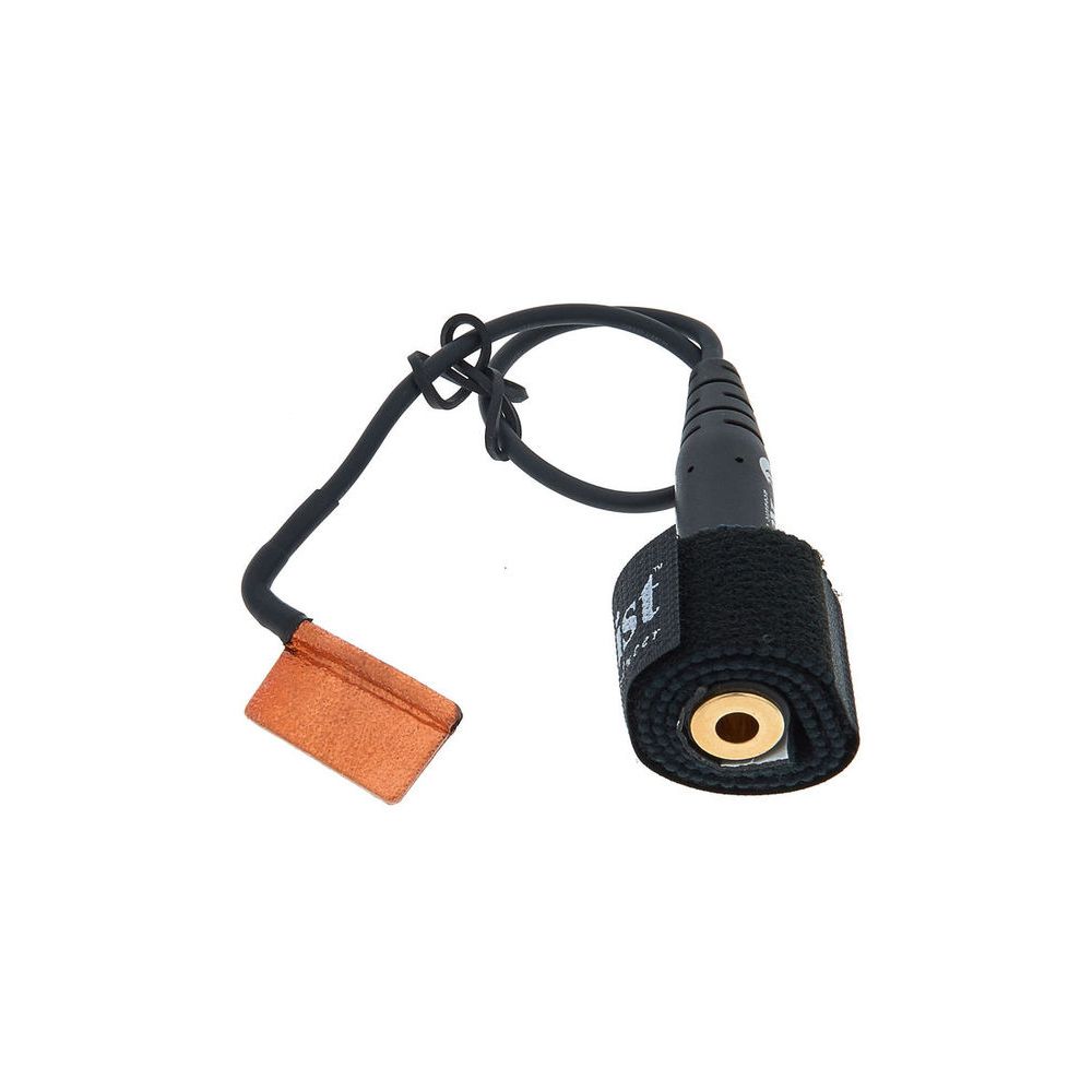 David Gage The Realist Cello – Thomann Ireland