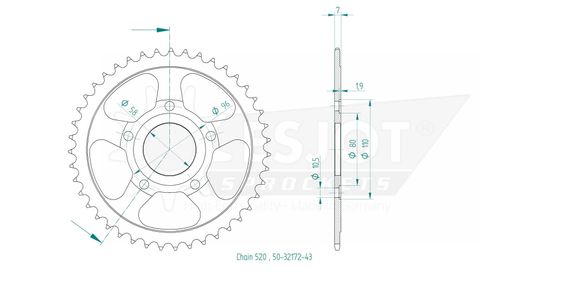 Couronne Esjot 43 dentsRef : ESJO00098A / 12113055
