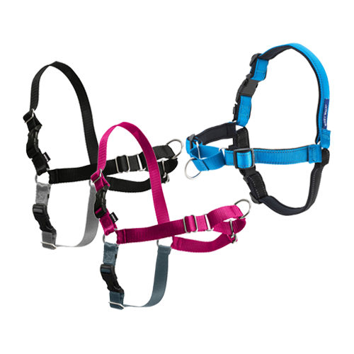 Easy Walk Dog Harness Deluxe - Blue - M