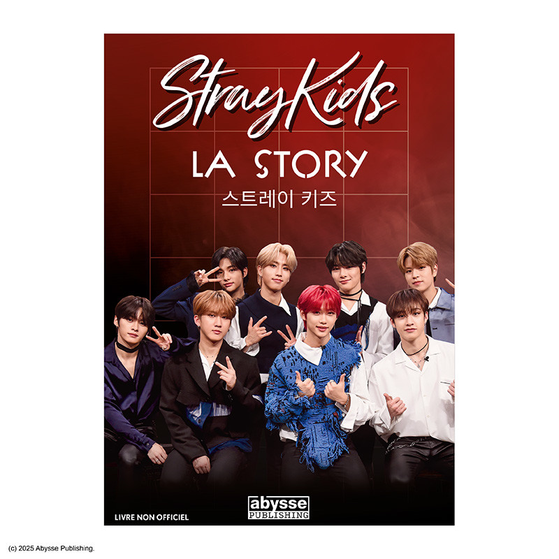 Stray Kids : La Story